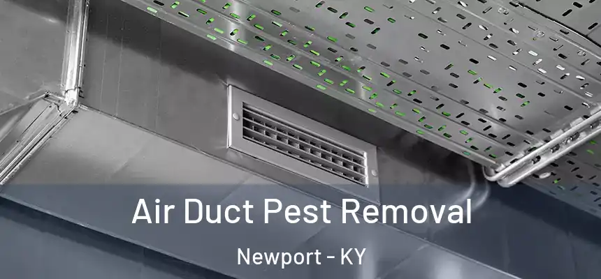  Air Duct Pest Removal Newport - KY