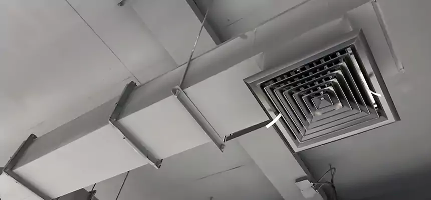 Our Rodent Droppings In Vents Services in Newport, KY