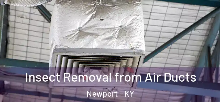  Insect Removal from Air Ducts Newport - KY