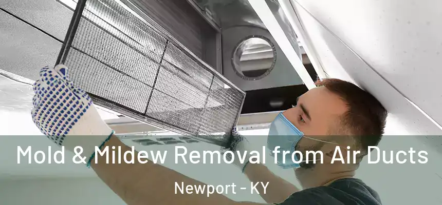 Mold & Mildew Removal from Air Ducts Newport - KY