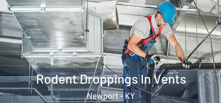  Rodent Droppings In Vents Newport - KY