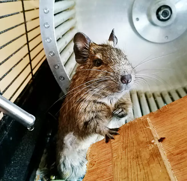 Why Homeowners & Businesses Trust Us Newport, KY?