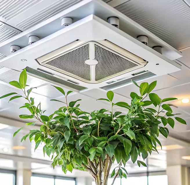 Why Homeowners & Businesses Trust Us in Newport, KY?